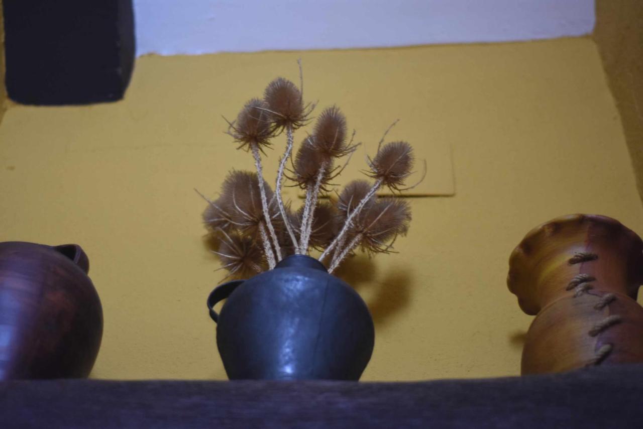 Casa Rural De Estilo Rustico Con Spa 阿尔玛格鲁 外观 照片